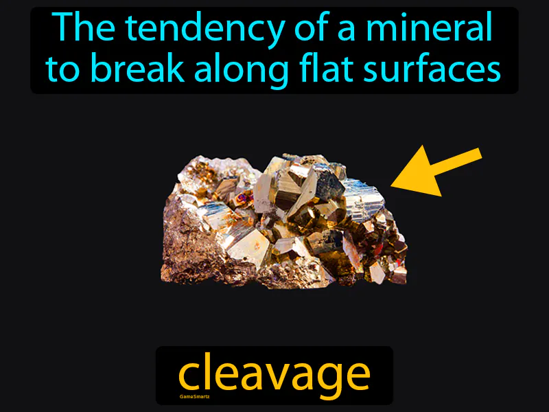 Cleavage Definition Cleavage Definition
