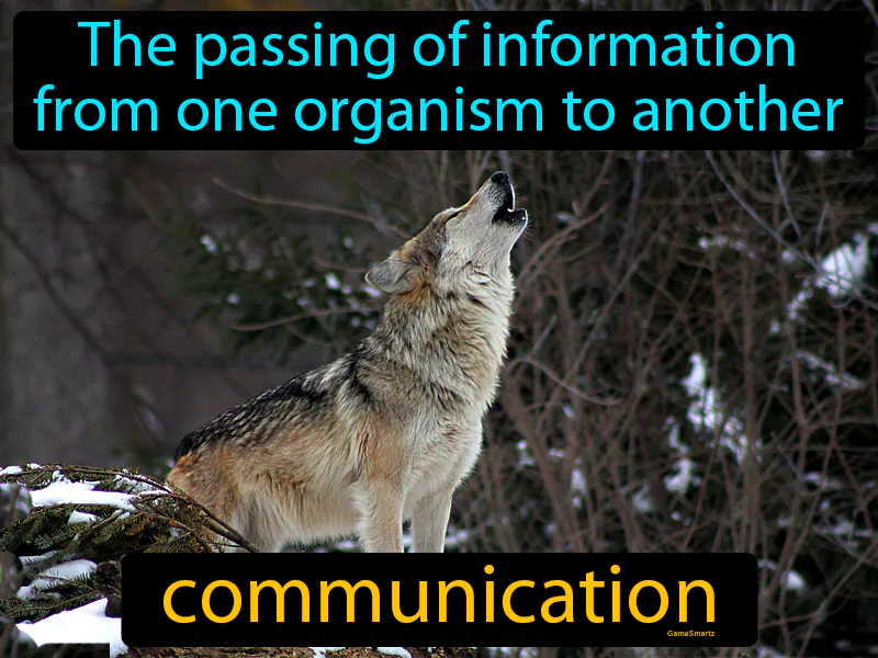 Communication Definition Communication Definition