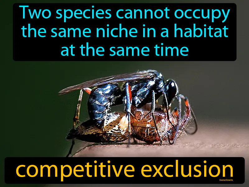 Competitive Exclusion Definition Competitive Exclusion Definition