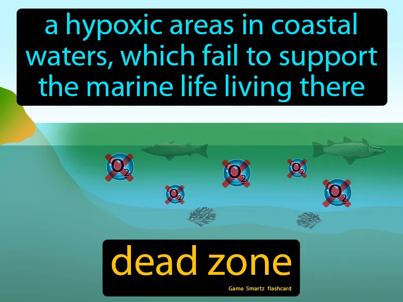 Dead Zone Definition Dead Zone Definition