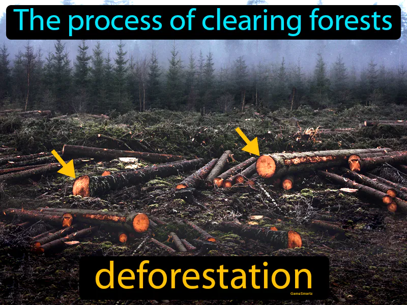Deforestation Definition Deforestation Definition