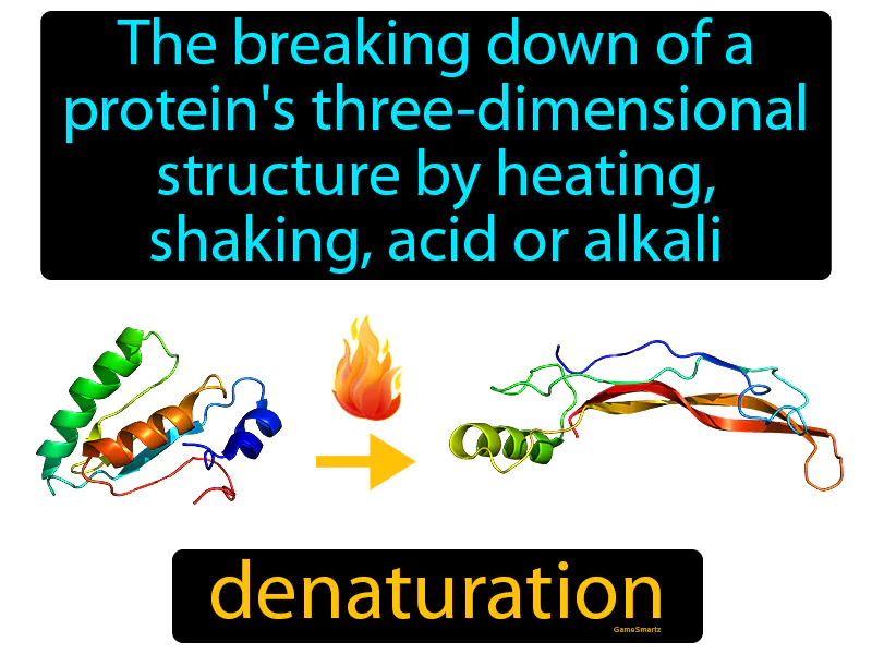 Denaturation Definition Denaturation Definition