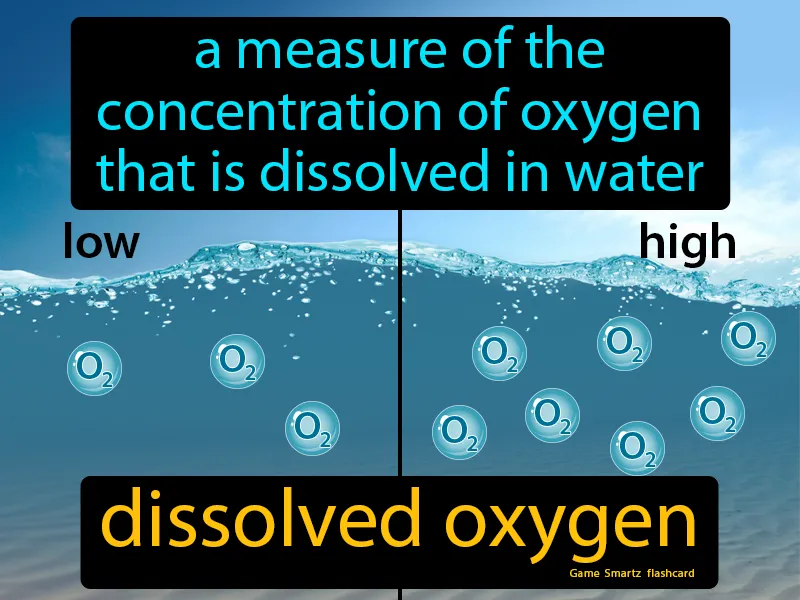 Dissolved Oxygen Definition Dissolved Oxygen Definition