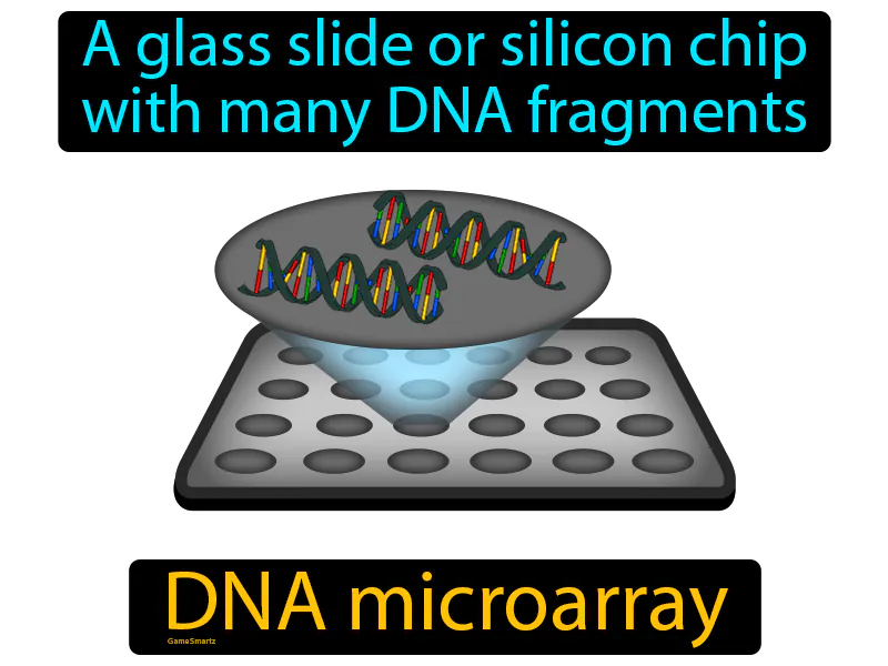 DNA Microarray Definition DNA Microarray Definition