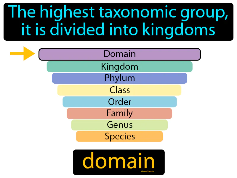 Domain Definition Domain Definition