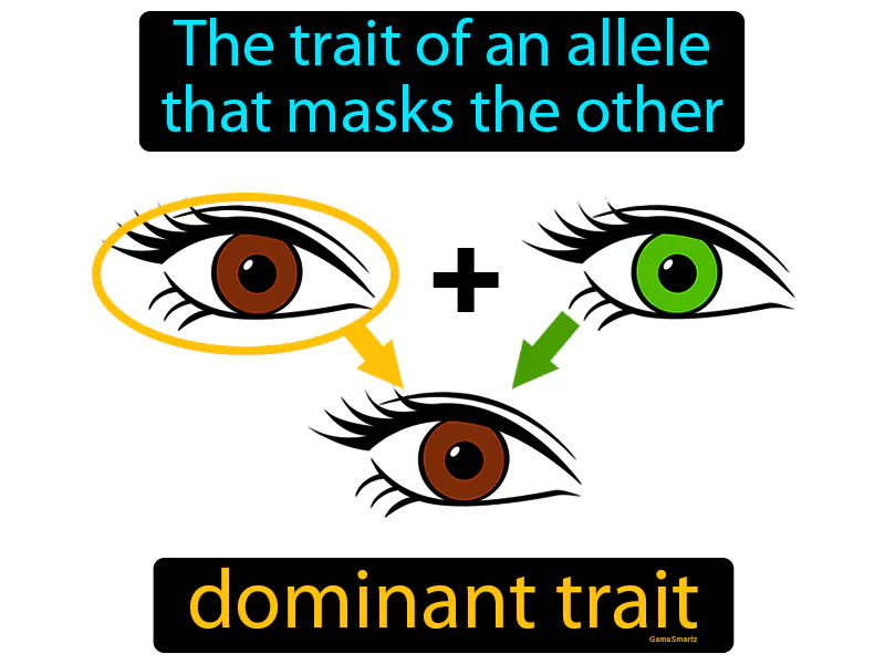 Dominant Trait Definition Dominant Trait Definition