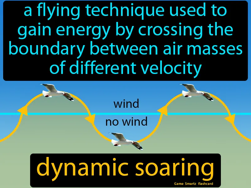 Dynamic Soaring Definition Dynamic Soaring Definition
