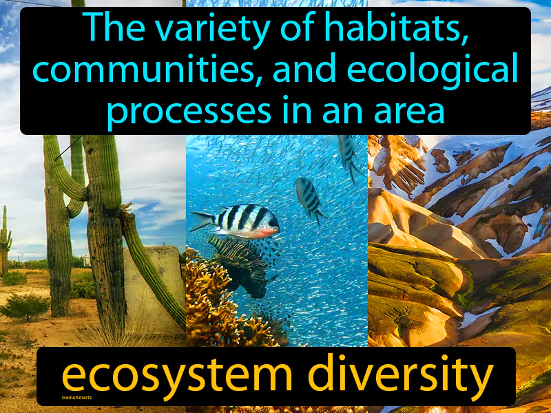 Ecosystem Diversity Definition Ecosystem Diversity Definition