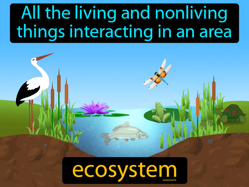 Ecosystem Definition Ecosystem Definition