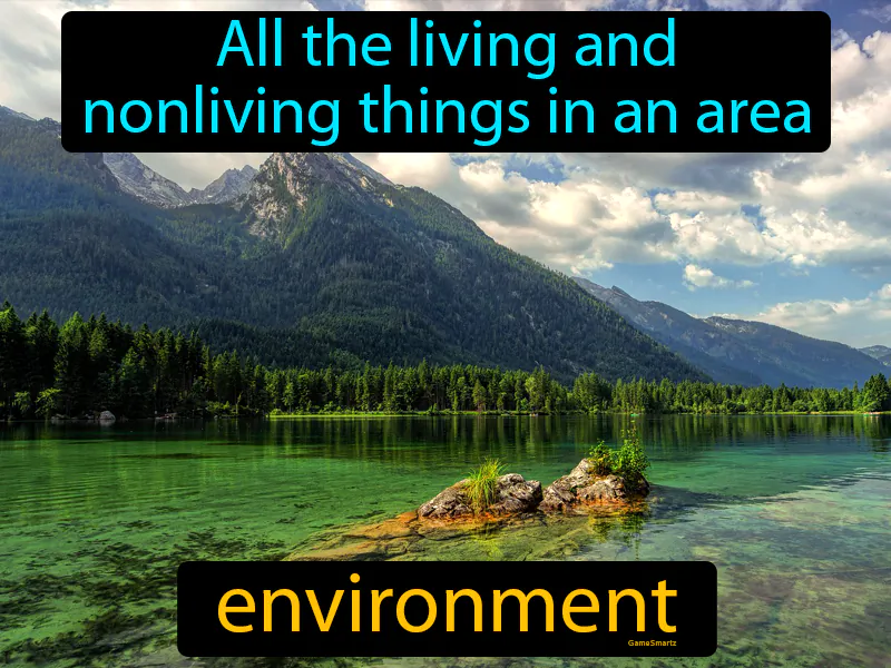 Environment Definition Environment Definition