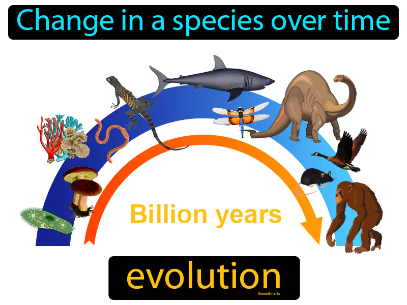 Evolution Definition Evolution Definition