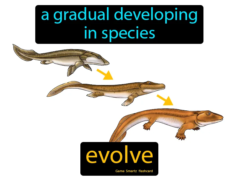 Evolve Definition Evolve Definition