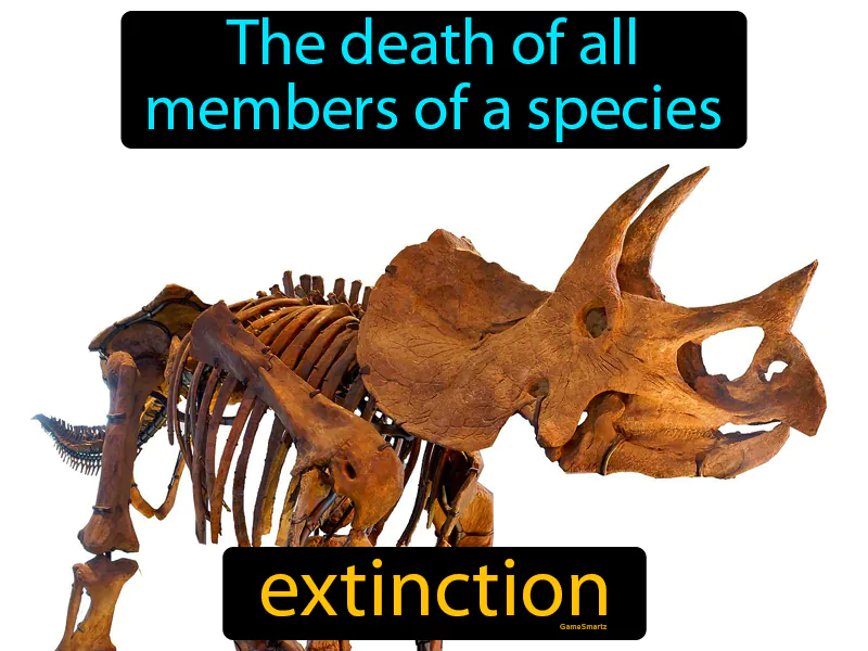 Extinction Definition Extinction Definition