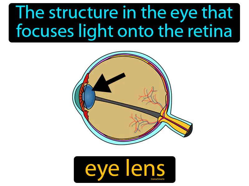 Eye Lens Definition Eye Lens Definition