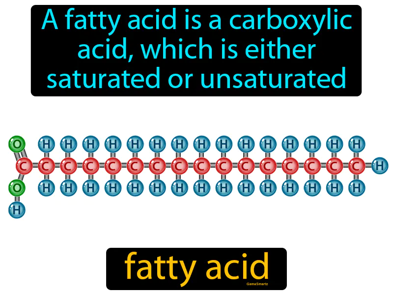 Fatty Acid Definition Fatty Acid Definition