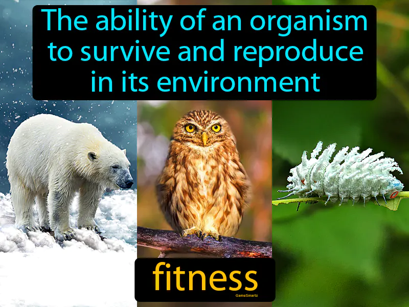 Fitness Definition Fitness Definition