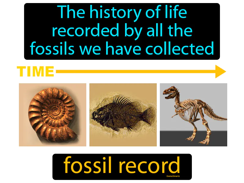Fossil Record Definition Fossil Record Definition
