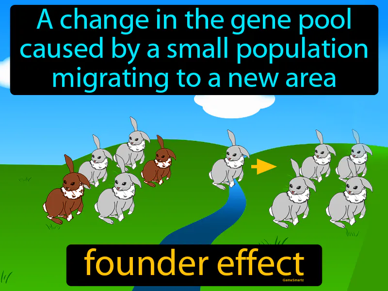Founder Effect Definition Founder Effect Definition
