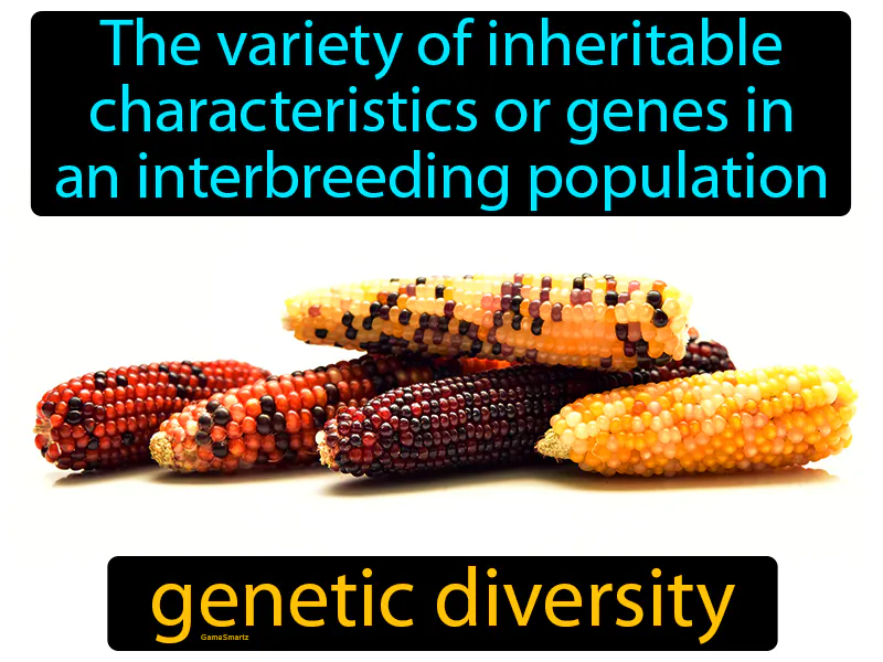 Genetic Diversity Definition Genetic Diversity Definition
