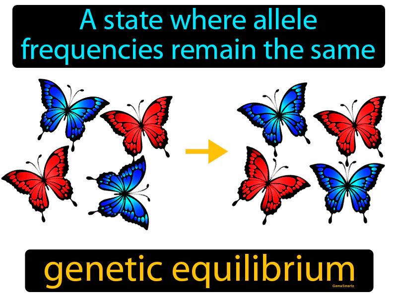 Genetic Equilibrium Definition Genetic Equilibrium Definition