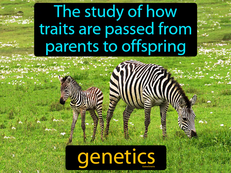 Genetics Definition Genetics Definition
