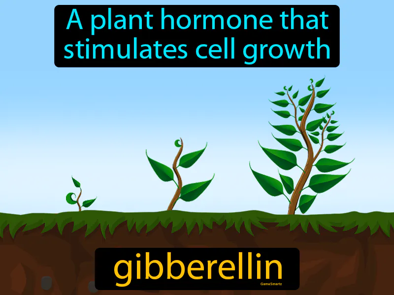 Gibberellin Definition