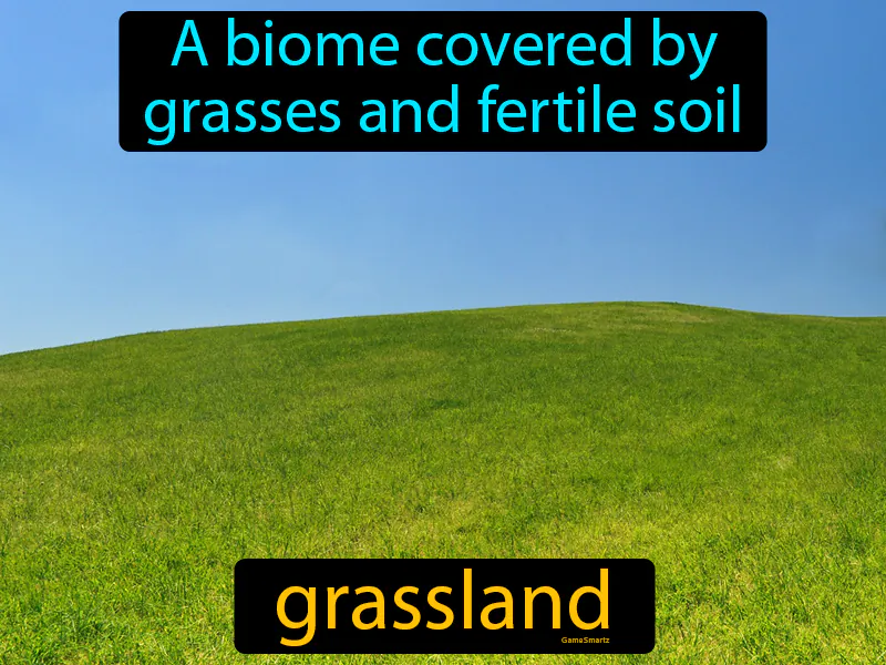 Grassland Definition Grassland Definition