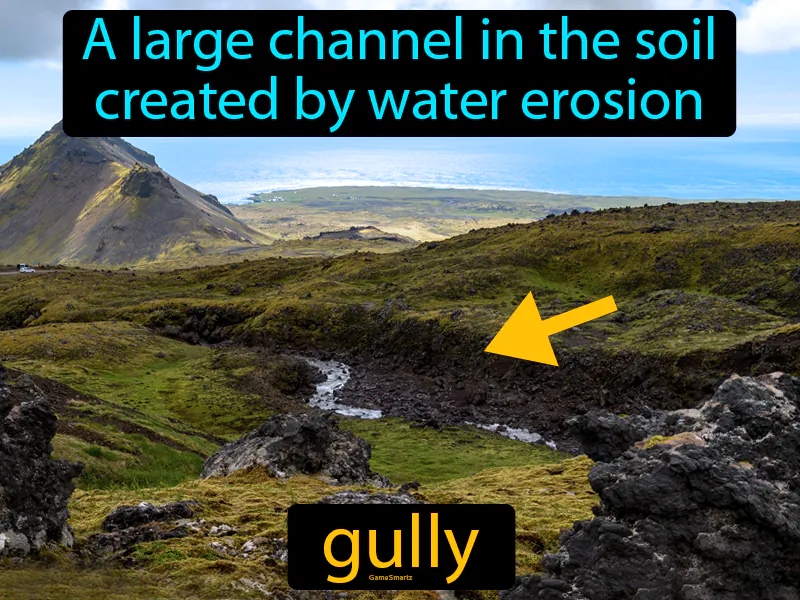 Gully Definition Gully Definition