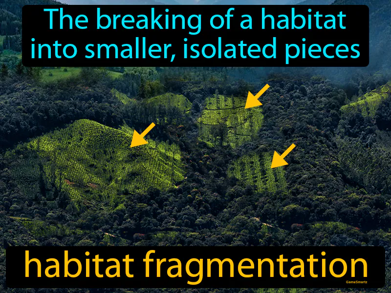Habitat Fragmentation Definition Habitat Fragmentation Definition