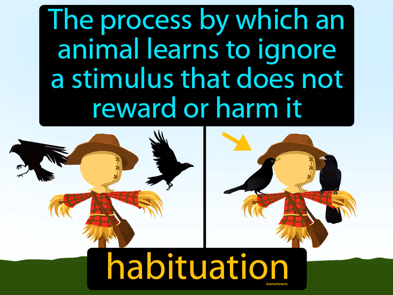 Habituation Definition Habituation Definition