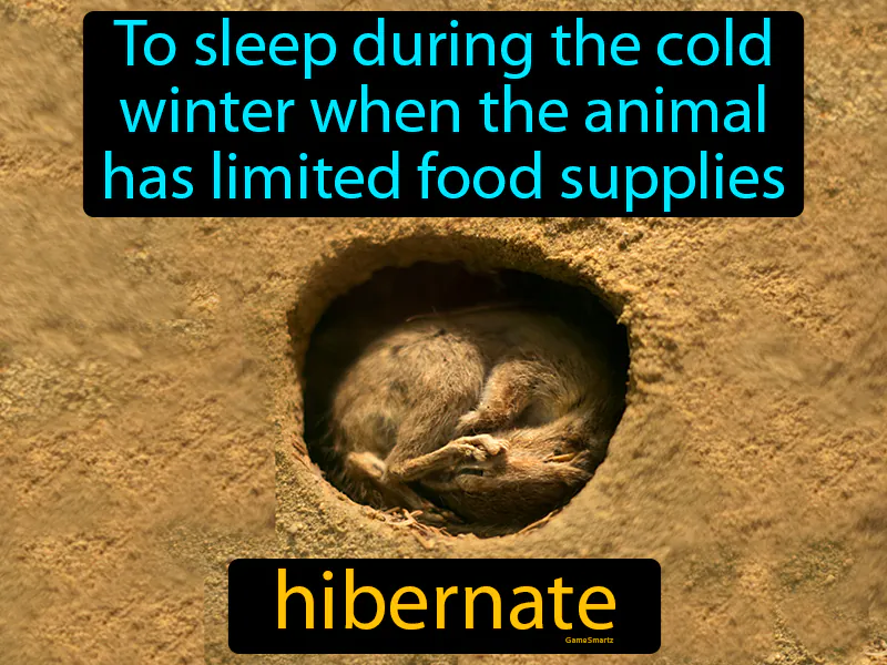 Hibernate Definition Hibernate Definition