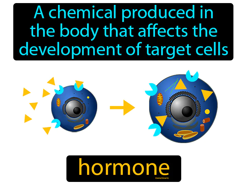 Hormone Definition Hormone Definition