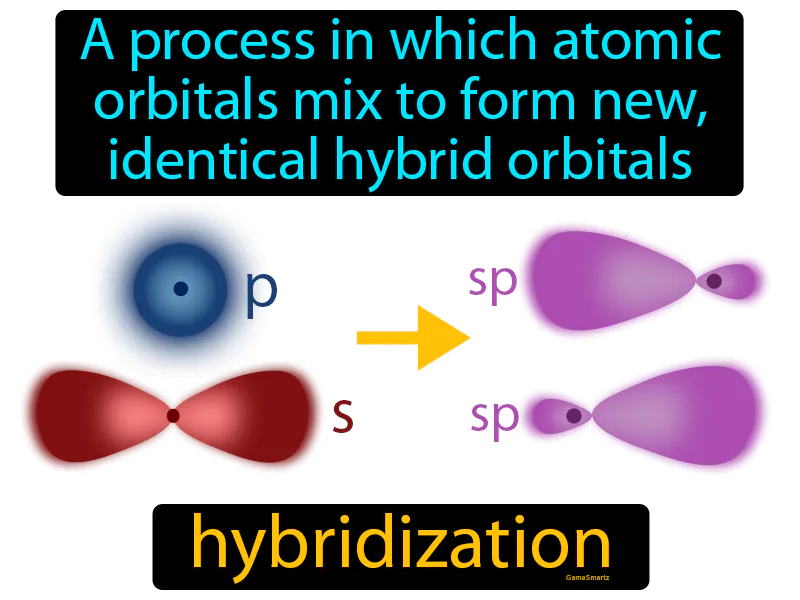 Hybridization Definition Hybridization Definition