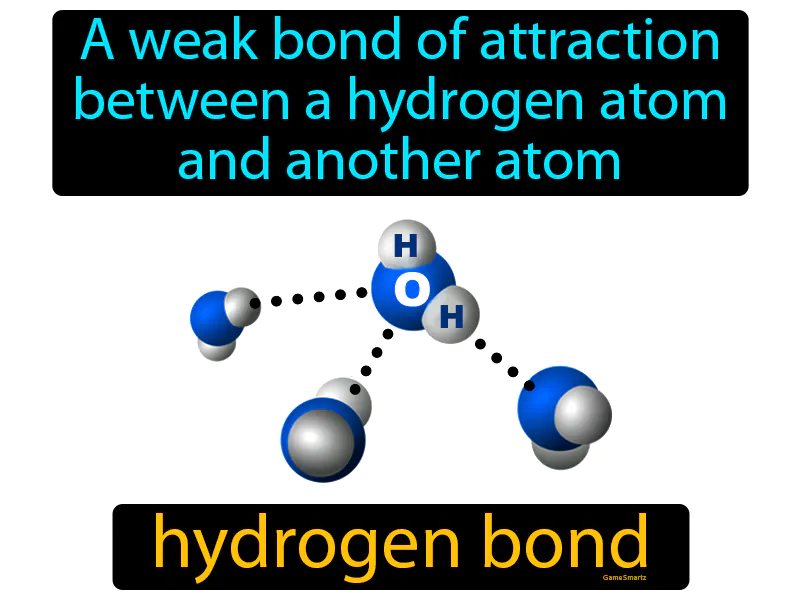 Hydrogen Bond Definition Hydrogen Bond Definition