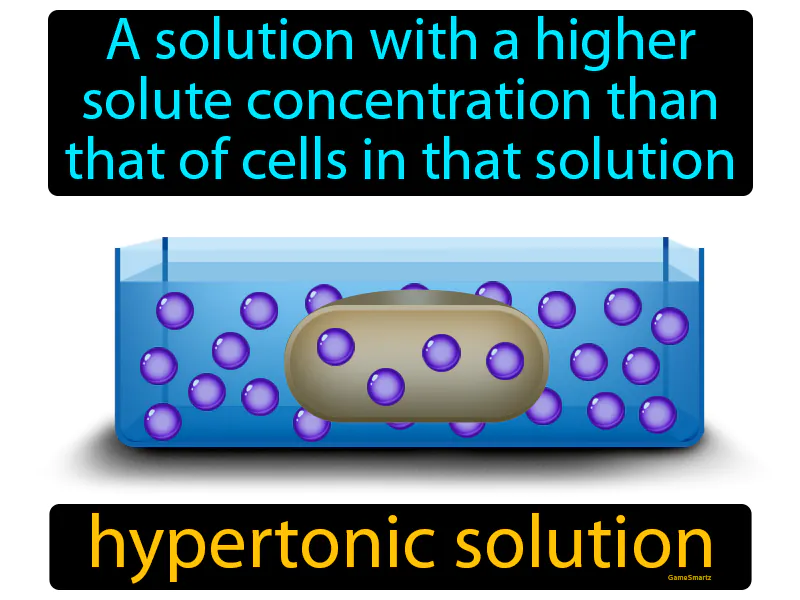 Hypertonic Solution Definition Hypertonic Solution Definition