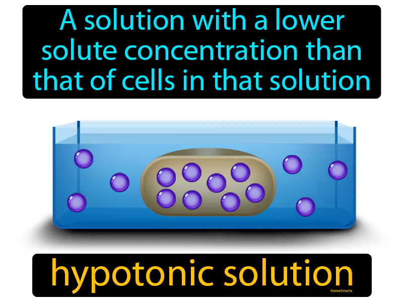 Hypotonic Solution Definition Hypotonic Solution Definition