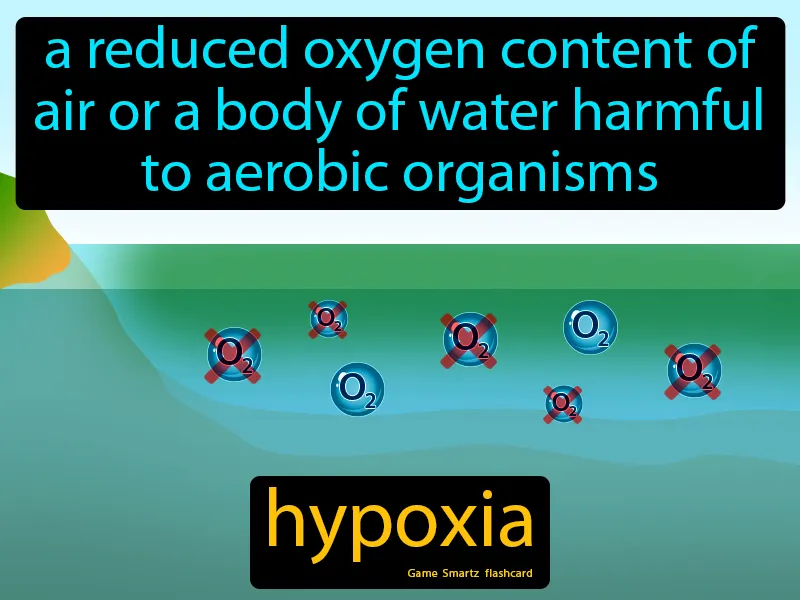 Hypoxia Definition Hypoxia Definition