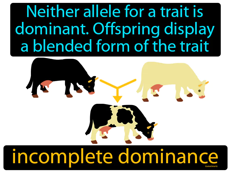 Incomplete Dominance Definition Incomplete Dominance Definition