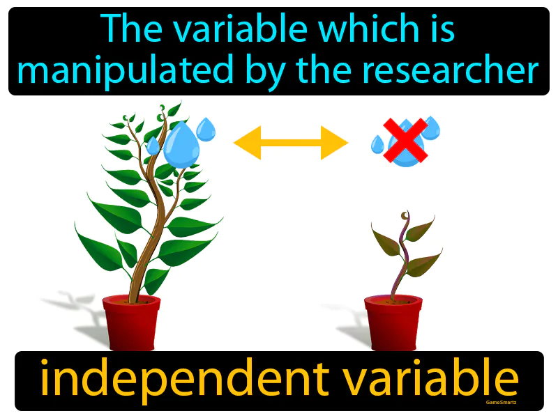Independent Variable Definition Independent Variable Definition