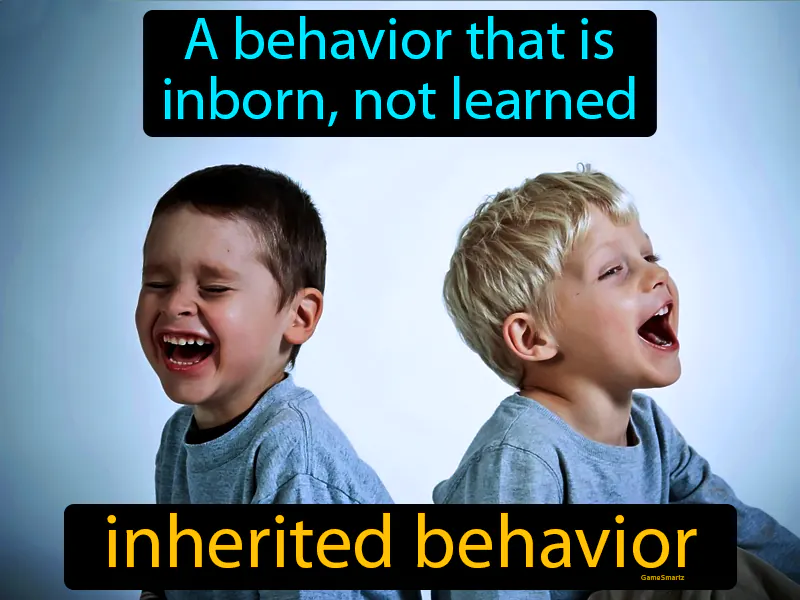 Inherited Behavior Definition Inherited Behavior Definition