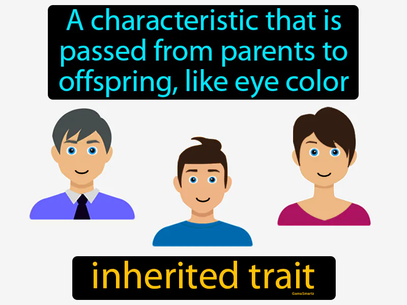 Inherited Trait Definition Inherited Trait Definition