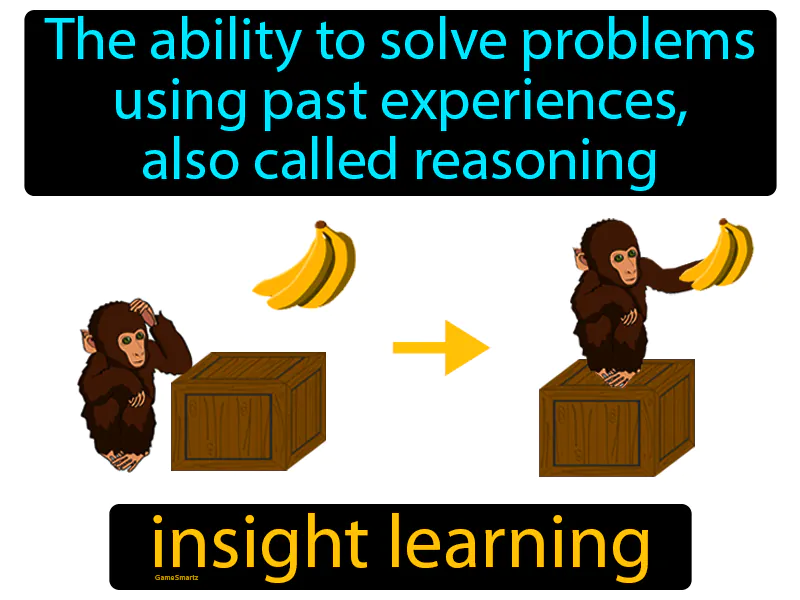 Insight Learning Definition Insight Learning Definition