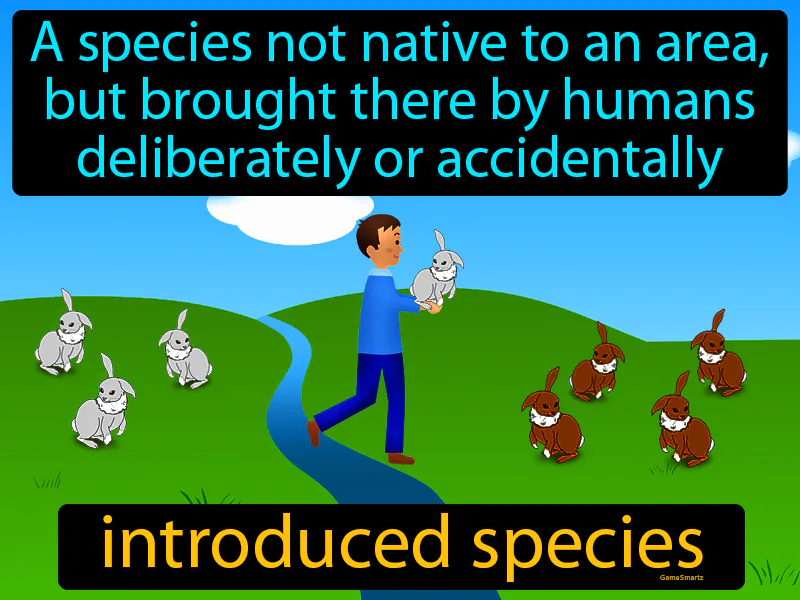 Introduced Species Definition Introduced Species Definition