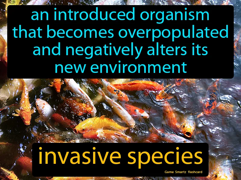 Invasive Species Definition Invasive Species Definition