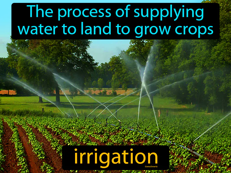 Irrigation Definition Irrigation Definition
