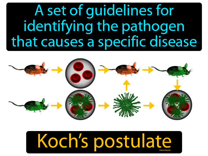Kochs Postulate Definition Kochs Postulate Definition
