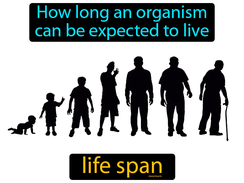 Life Span Definition Life Span Definition