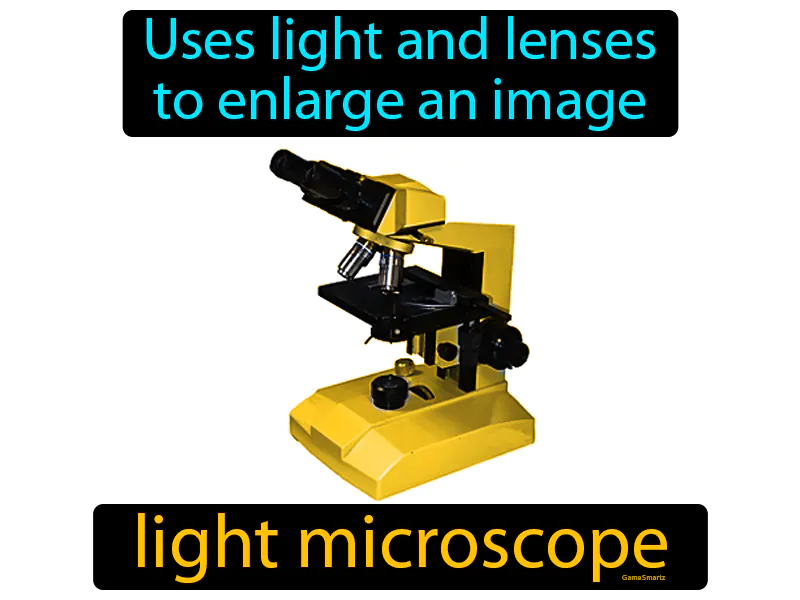 Light Microscope Definition Light Microscope Definition