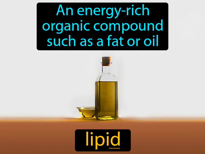 Lipid Definition Lipid Definition