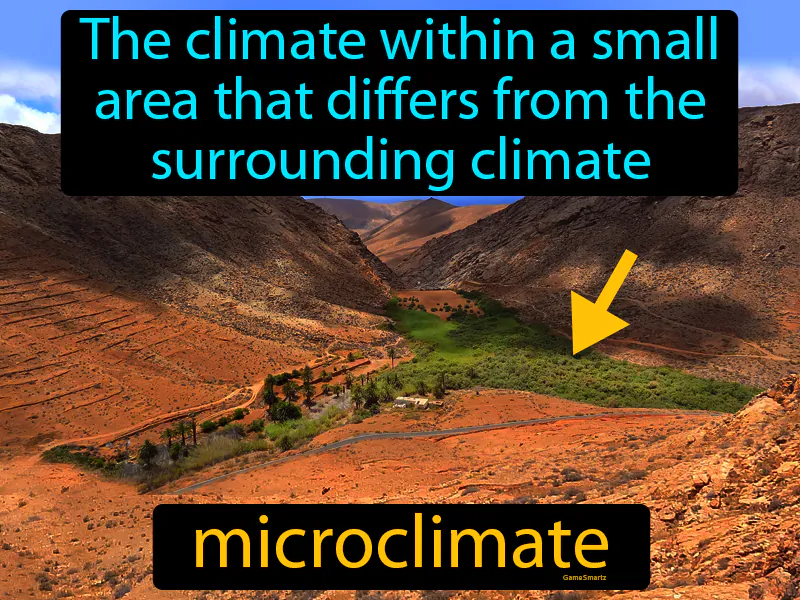 Microclimate Definition